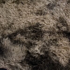 Giani Bernini Women's Nude Patent Heels